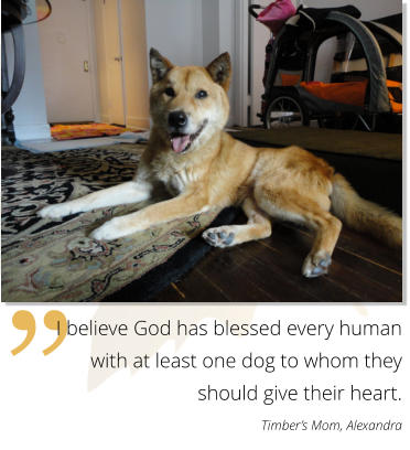 ” I believe God has blessed every human with at least one dog to whom they should give their heart. Timber’s Mom, Alexandra